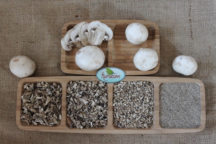 dried mushroom-5