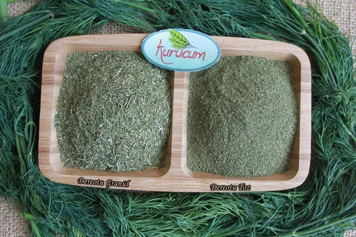 dried dill-2