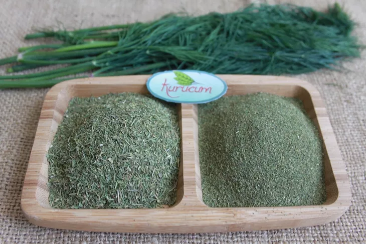dried dill-5