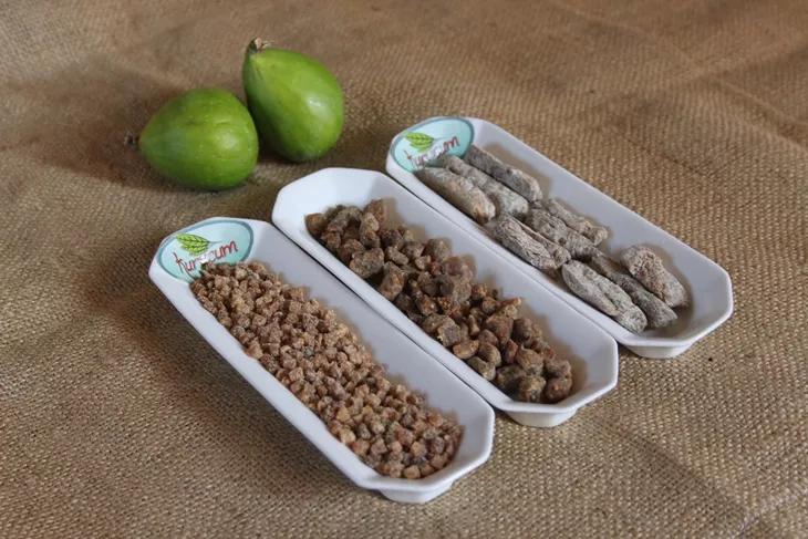 dried fig-5
