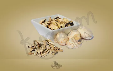 Slider 01