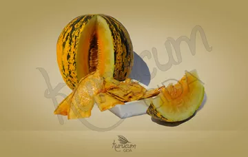 Slider 02