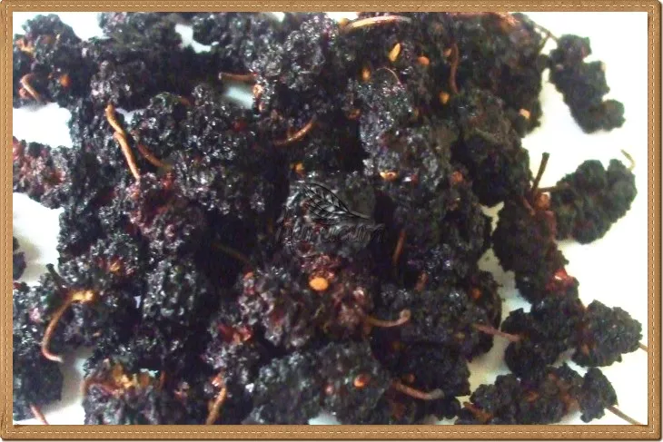 kurutulmuş mulberry